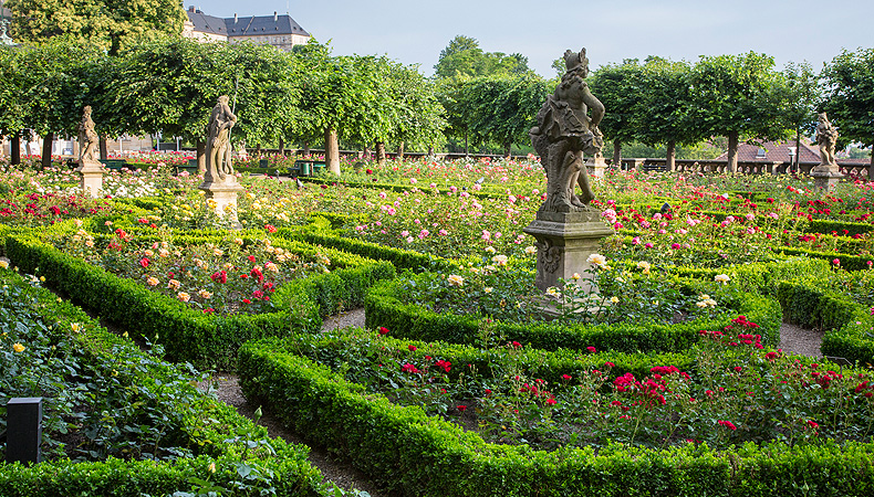 Rosengarten Bamberg, Foto: Christa Brand, Ismaning Bild: Rosengarten Bamberg